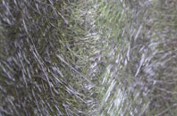 Llanelidan fibreglass roof work